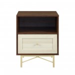 Gwen 20" 1 Drawer Modern Nightstand - Dark Walnut/White Poplar