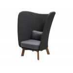Cane-line Peacock Wing highback chair w/teak legs, 5460RODGT