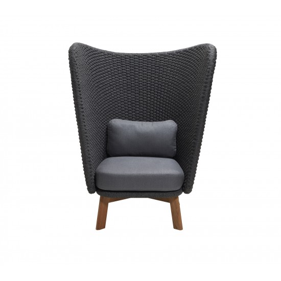 Cane-line Peacock Wing highback chair w/teak legs, 5460RODGT