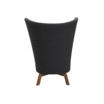 Cane-line Peacock Wing highback chair w/teak legs, 5460RODGT