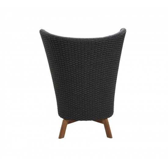 Cane-line Peacock Wing highback chair w/teak legs, 5460RODGT