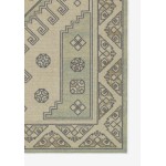 Rug, Momeni, Anatolia, ANA11, Sage, 2' X 3', 48758