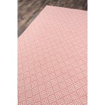 Rug, Madcap Cottage, Baileys Beach, BAI-2, Pink, 2' X 3', 43138