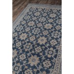 Rug, Momeni, Banaras, BNR-1, Blue, 2' X 3', 40755