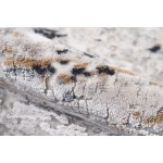 Rug, Momeni, Cannes, CAN-1, Grey, 3'3" X 5', 41399