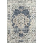 Rug, Momeni, Chandler, CHN-6, Navy, 4' X 6', 47707