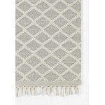 Rug, Momeni, Ember, EMR-2, Ivory, 3'6" X 5'6", 48401