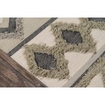 Rug, Novogratz, Indio, IND-4, Sage, 2'3" X 7'10" Runner, 42377