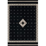 Rug, Momeni, Noho, NO-06, Black, 3'11" X 5'7", 49686