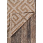 Rug, Madcap Cottage, Palm Beach, PAM-4, Brown, 9'6" X 13'6", 43733