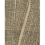 Rug, Momeni, Teppe, TEP-4, Natural, 2' X 3', 49514