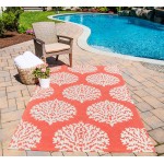 Rug, Momeni, Veranda, VR-45, Coral, 2' X 3', 28963