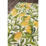 Rug, Momeni, Veranda, VR-76, Green, 2' X 3', 42549