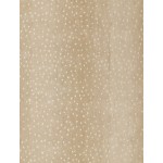 Rug, Erin Gates, Woodland, WOD-1, Beige, 2'6" X 8' Runner, 49022