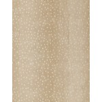 Rug, Erin Gates, Woodland, WOD-1, Beige, 2'6" X 12' Runner, 49313