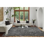 Rug, Momeni, Xander, XAN-2, Black, 3'11" X 5'7", 49652