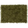 Addison Sommer Solid Green Shag Accent Rug, 2’ x 3’, Green, ASM31GN2X3