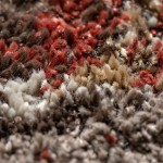 Blair Transitional Stripe Spice Area Rug, 8’2" x 10’, Spice, OSBL32SP8X10