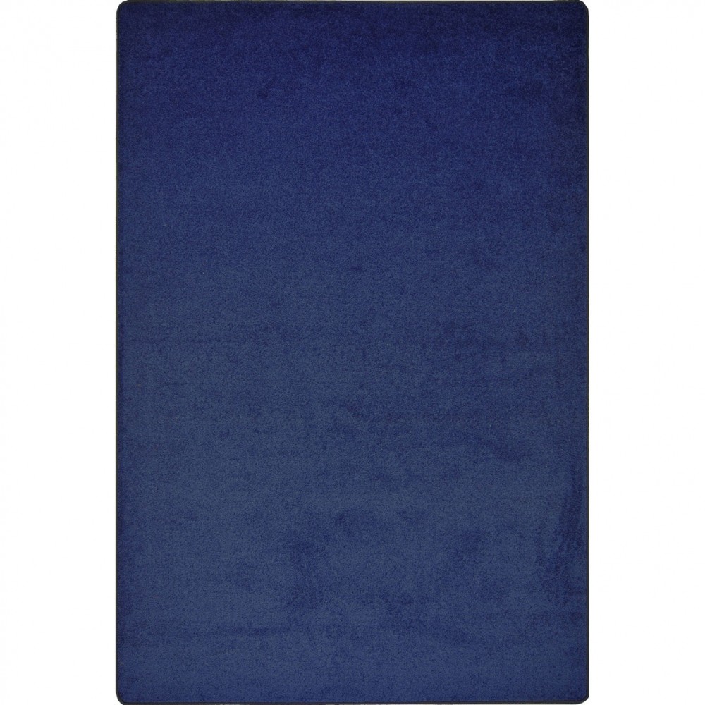 Endurance 4' x 6' area rug in color Midnight Sky