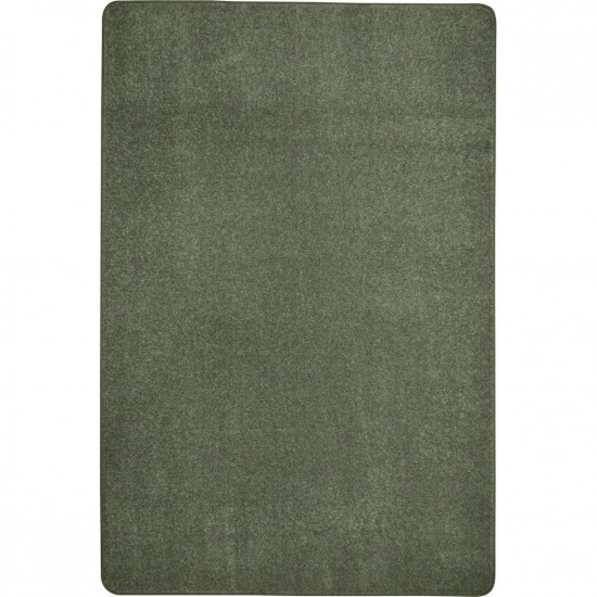 Endurance 12' x 6' area rug in color Sage