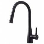 8.25-in. W Kitchen Sink Faucet_AI-34887