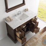 Fresca Kingston 49" Antique Coffee Traditional Bathroom Vanity w/ Mirror