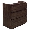 Fresca Formosa 29" Floor Standing Modern Bathroom Cabinet