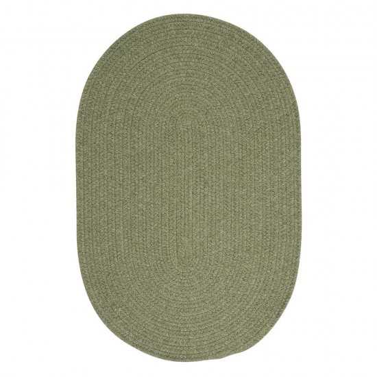 Colonial Mills Rug Bristol Palm Runner (Oval)