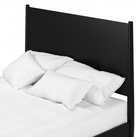 Flynn Mid Century Modern Queen Panel Bed, Black