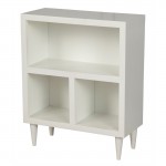 Ray 23" Mid Century Bookcase, White