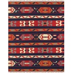 Pasargad Home Anatolian Hand-Woven Cotton Area Rug- 9' 0" X 12' 0" PBB-06 9X12