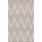 Pasargad Home Area Rug Simplicity Hand-Woven Cotton Grey 4' 0" X 6' 0"