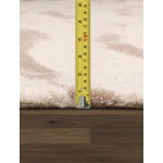 Pasargad Home Area Rug Edgar Tufted Silk, wool Ivory 6X 9