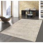 Pasargad Home Transitional Hand-Knotted Silk & Wool Area Rug- 9' 0" X 11' 11"