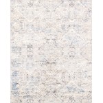 Pasargad Home Efes Design Power Loom Area Rug- 4' 0" X 6' 0" PD-189B 4x6