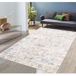 Pasargad Home Efes Design Power Loom Area Rug- 4' 0" X 6' 0" PD-189B 4x6