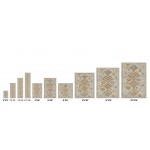 Pasargad Home Aldora Design Power Loom Area Rug- 9' 0" X 12' 0" PD-476C 9x12