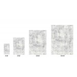 Pasargad Home Area Rug Stella Power-Loomed Polyesterester Grey 2' 8" X 6' 6"