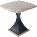 Lidiya Gray Wood & Metal End Table, 5459025