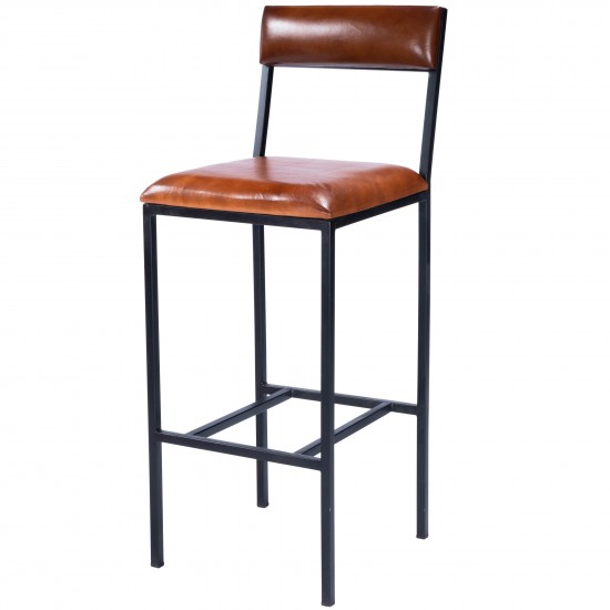 Lazarus Leather & Metal Bar Stool, 5496330