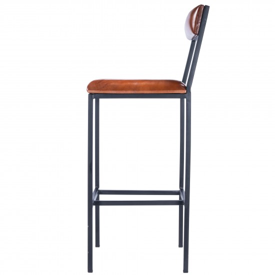 Lazarus Leather & Metal Bar Stool, 5496330