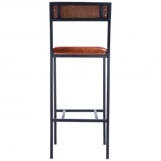 Lazarus Leather & Metal Bar Stool, 5496330