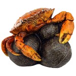 Design Toscano Coastal Crab Garde Statue