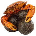 Design Toscano Coastal Crab Garde Statue