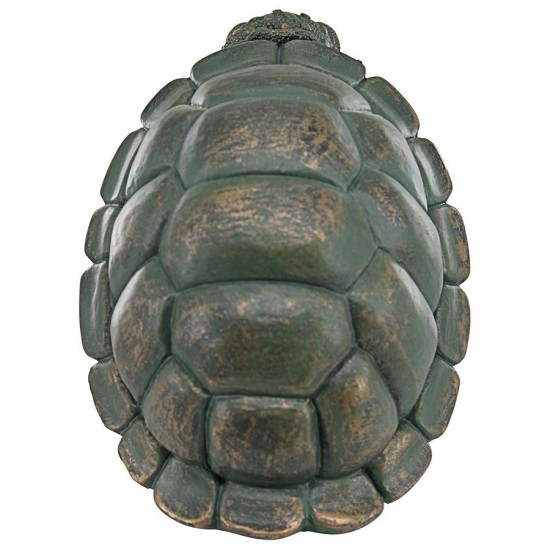 Design Toscano The Thinker Turtle Statue