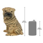 Design Toscano Shar Pei Puppy Statue