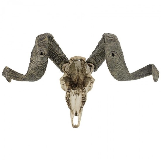 Design Toscano Corsican Ram Skull And Horns Plaque