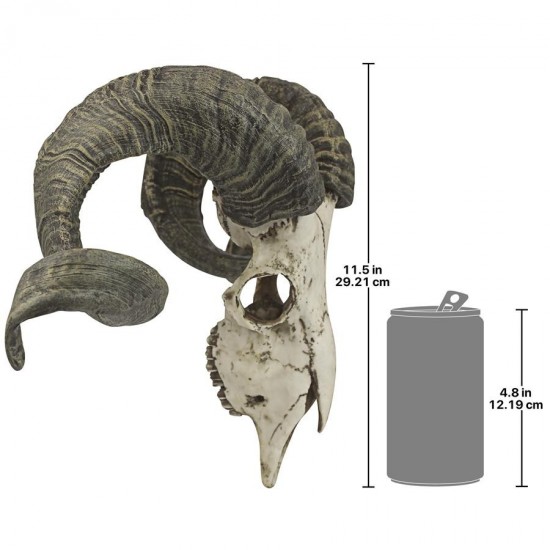 Design Toscano Corsican Ram Skull And Horns Plaque