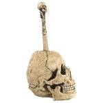 Design Toscano Bathroom Skullduggery Toilet Bowl Brush