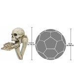 Design Toscano Begger For Souls Skeleton Plaque